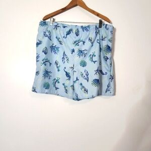 Brooks Brothers swim trunks